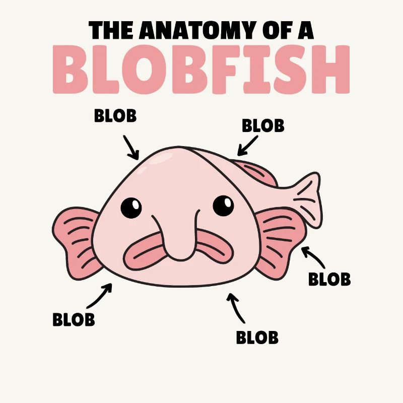 Blobfish Explication Anatomie d’un Blobfish
