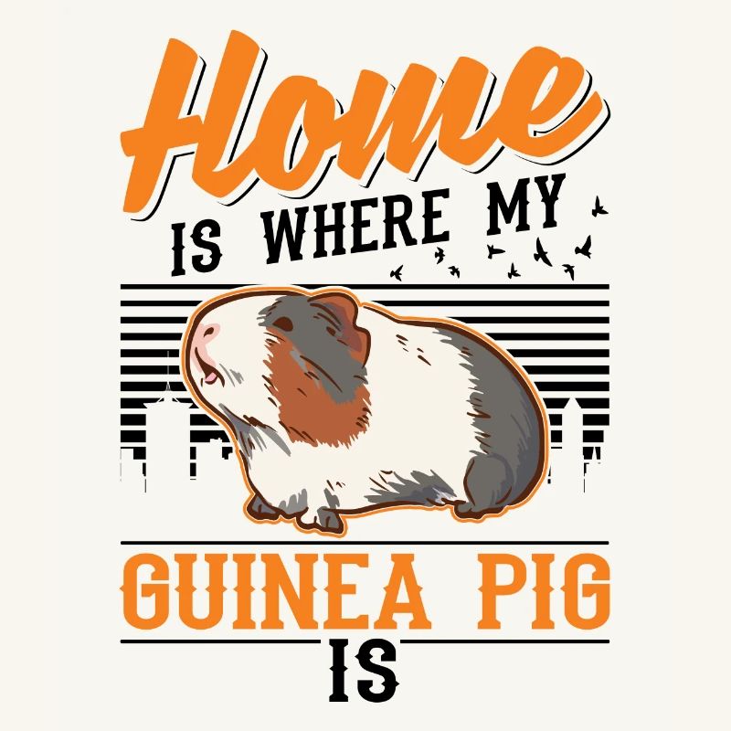 Cochons d’Inde à la maison Cochon d’Inde