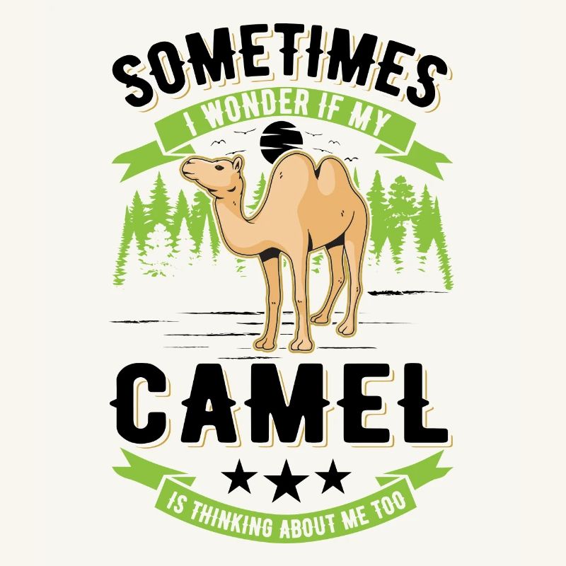 Kamel Geschenk Dromedar Camel Großkamel