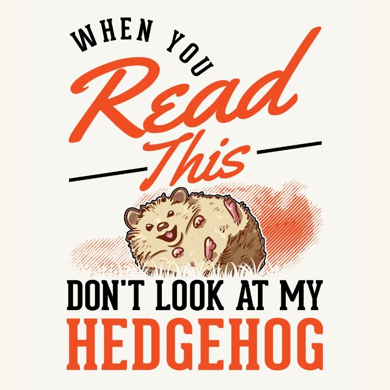 Hedgehog Gift Spiny Hedgehog