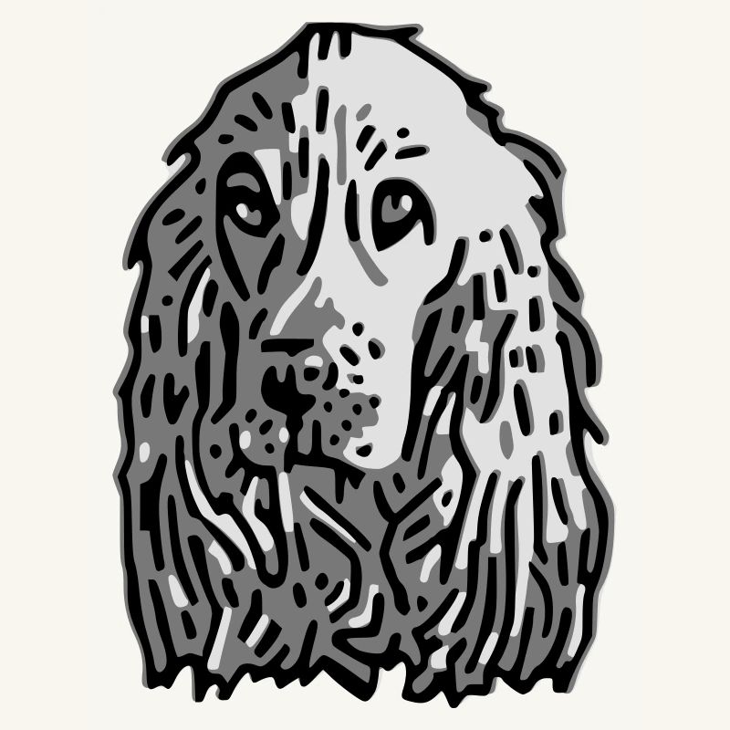 cocker