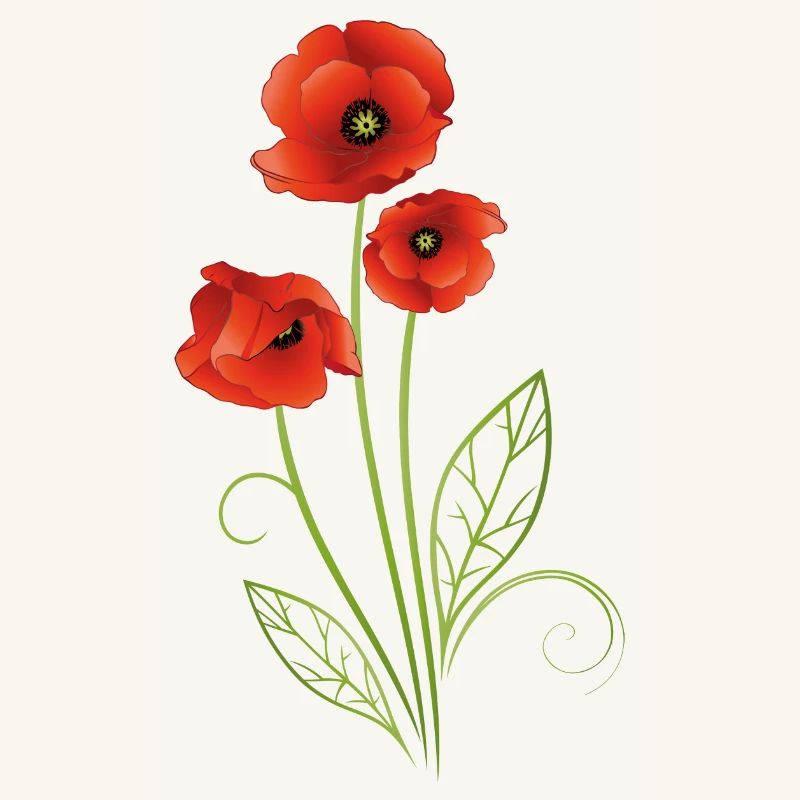 Coquelicots avec des feuilles de filigrane. Été.