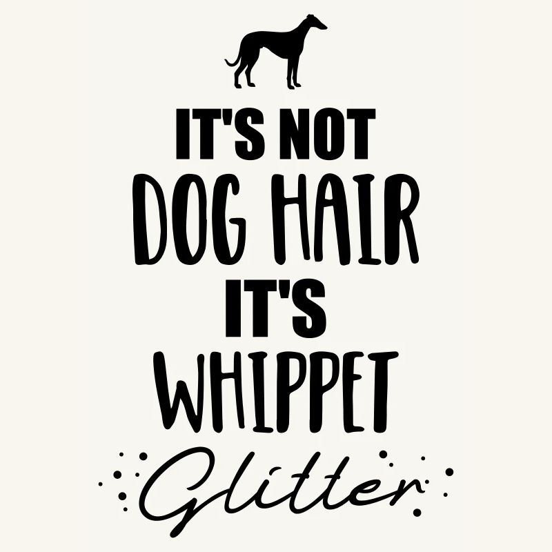 Whippet