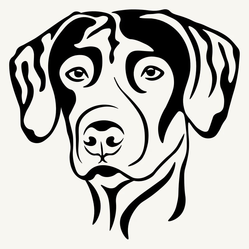 RhodesianRidgeback