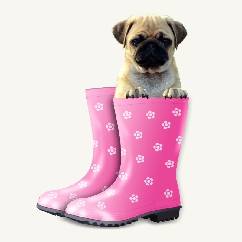 Mops