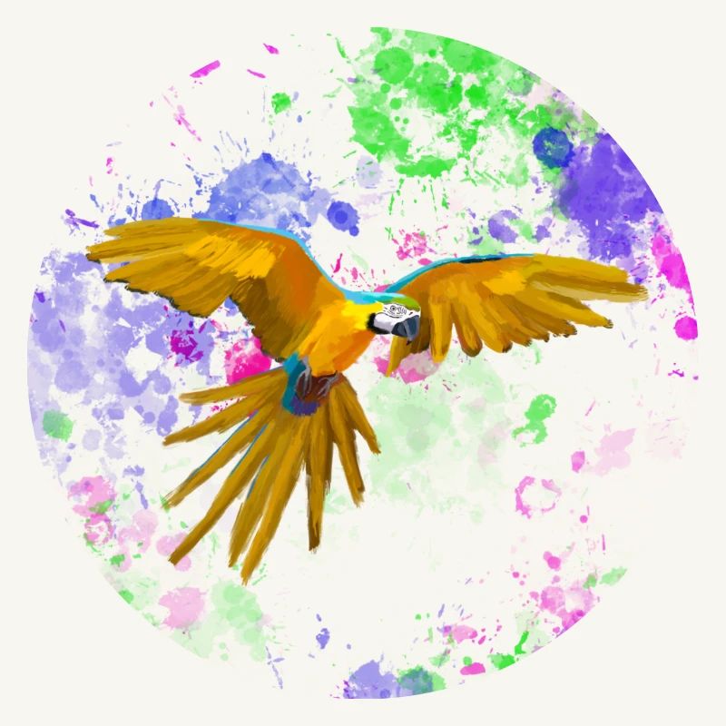 Macaw flight before paint splashes