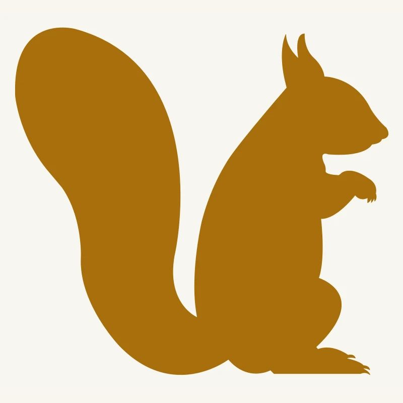 eichhörnchen
