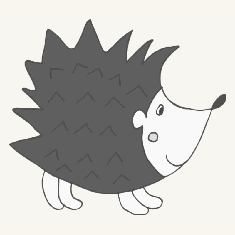 Hérisson Noir Blanc