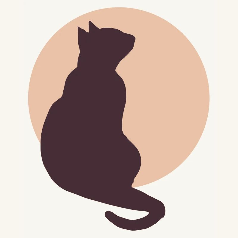 Moon Cat