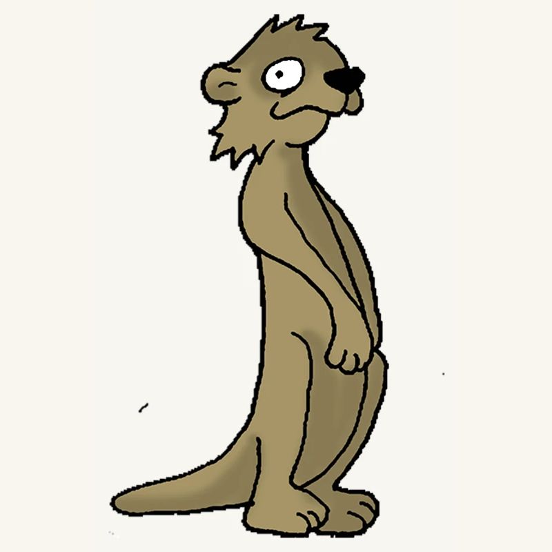 Erdmännchen