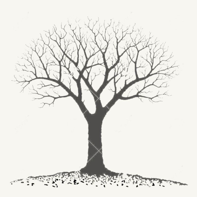 Baum