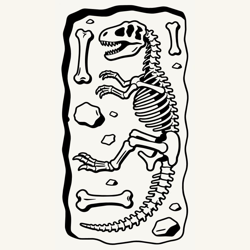 T-Rex-Skelett