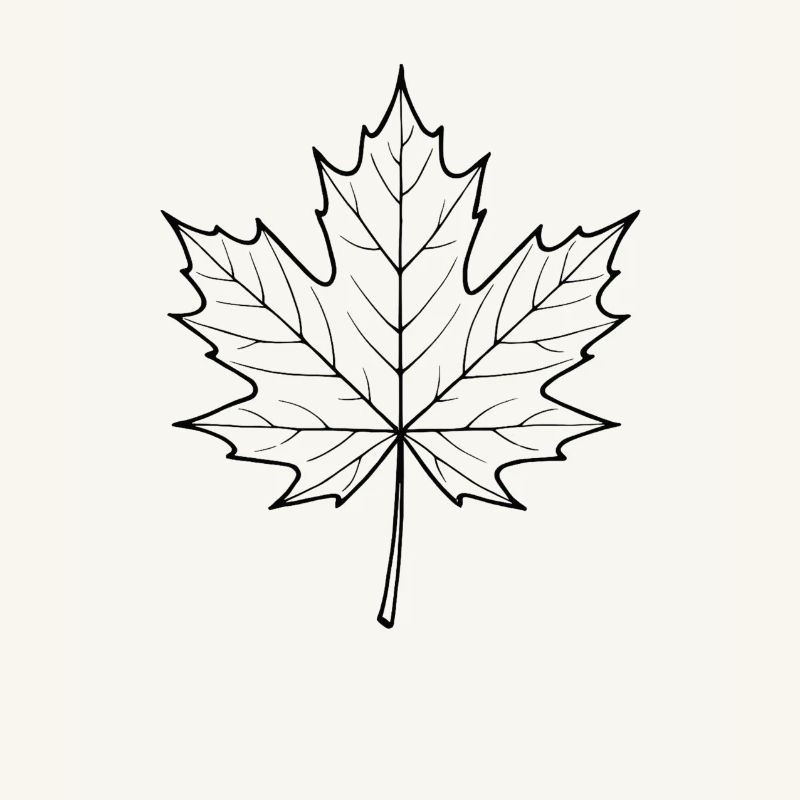 Maple Leaf Line Design