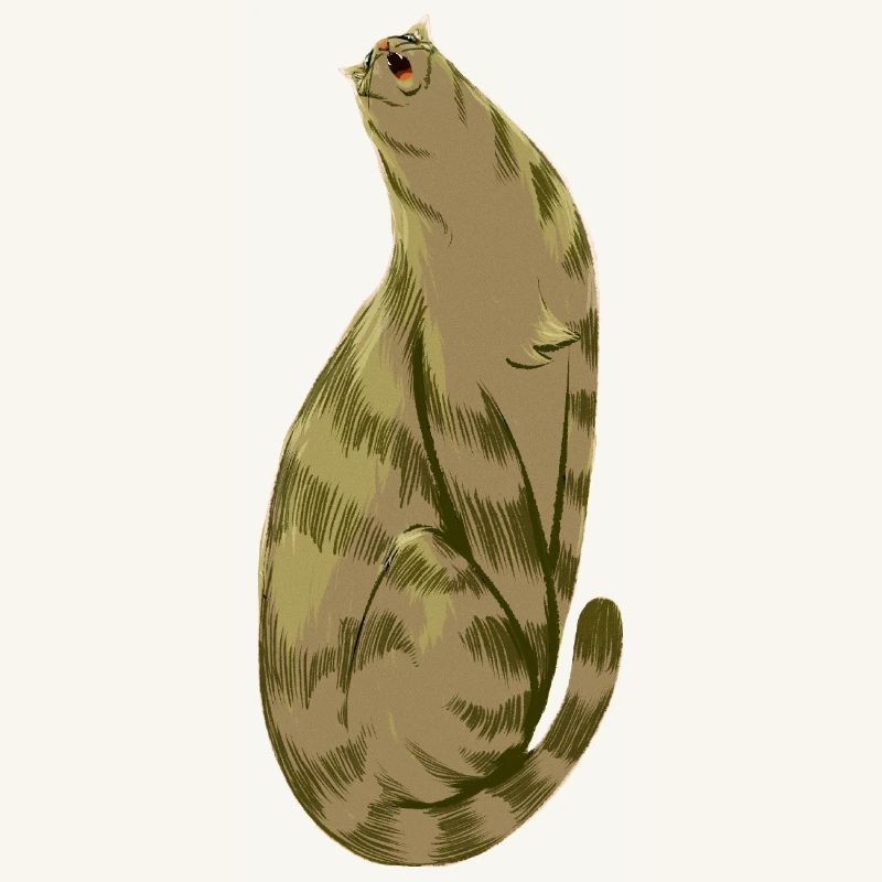 Squishy Olive