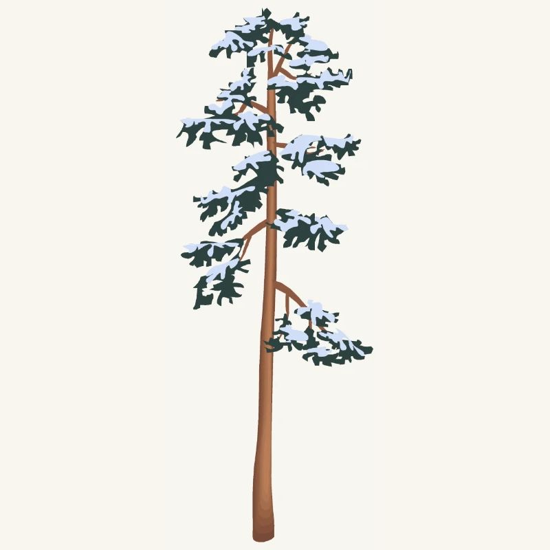 tall tree with snow