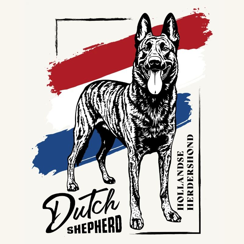 Berger hollandais - Dutchie