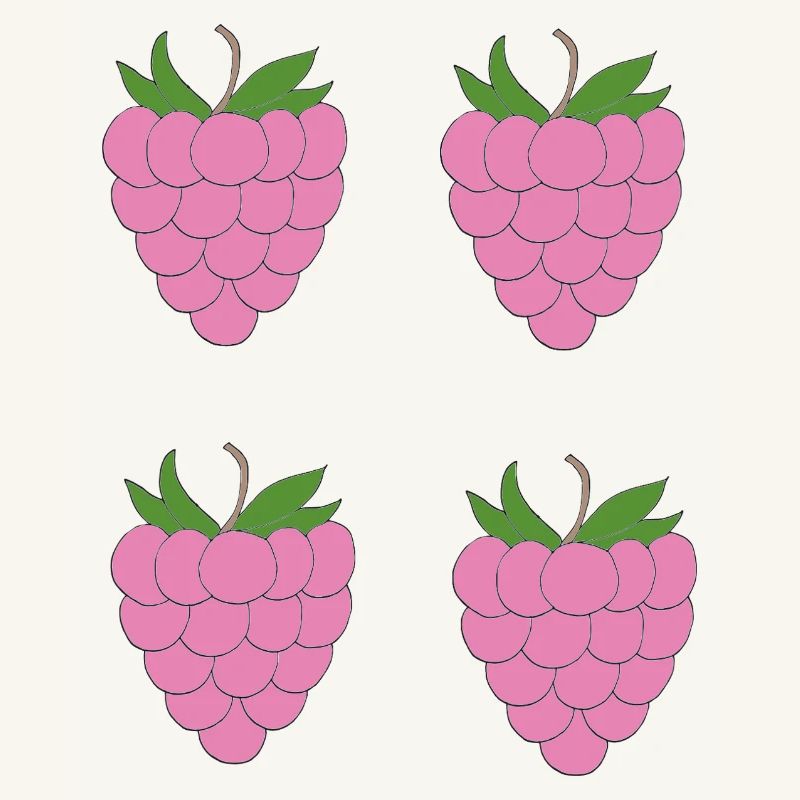 Raspberry Double Cluster Pattern