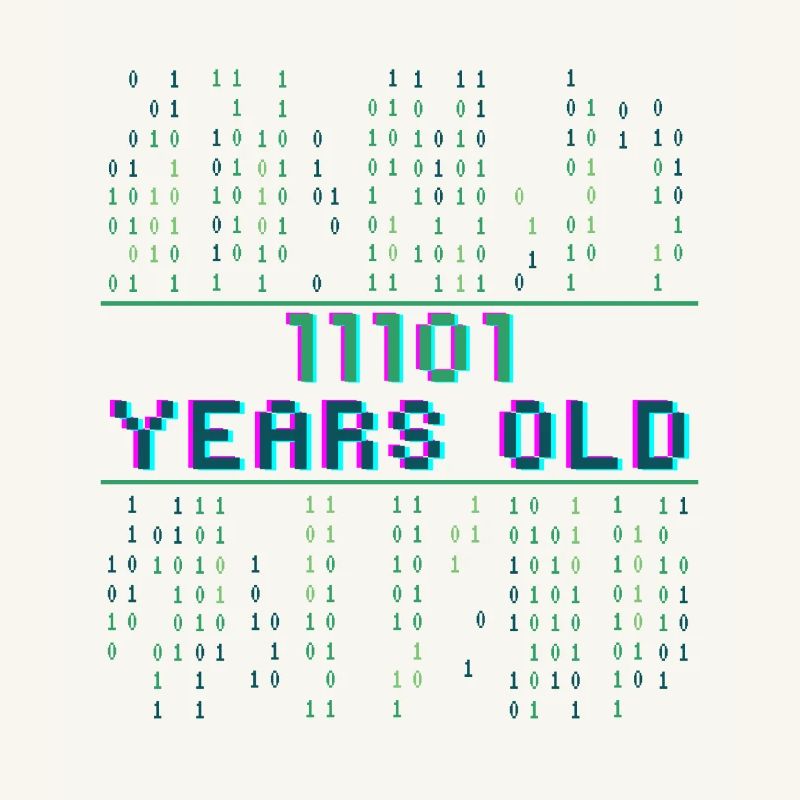 29th Birthday 29 years old Binary Code Coder