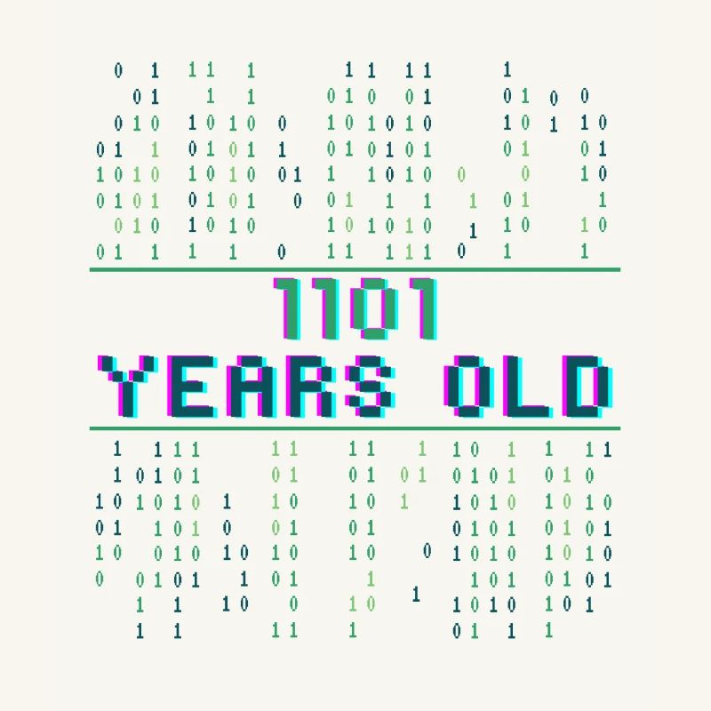 13th Birthday 13 Year Old Binary Code Coder