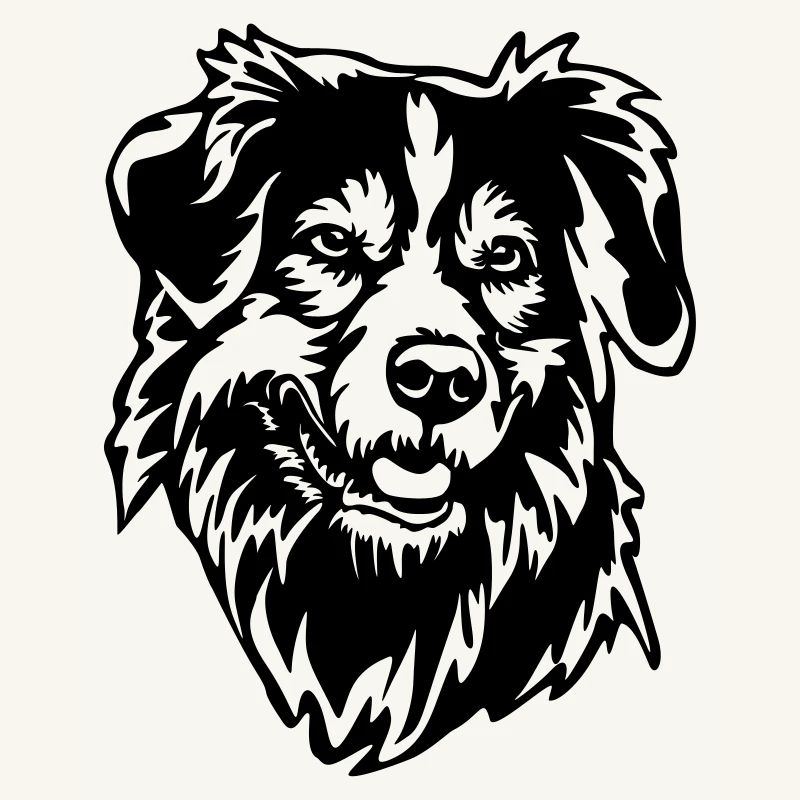 Australian Shepherd Head