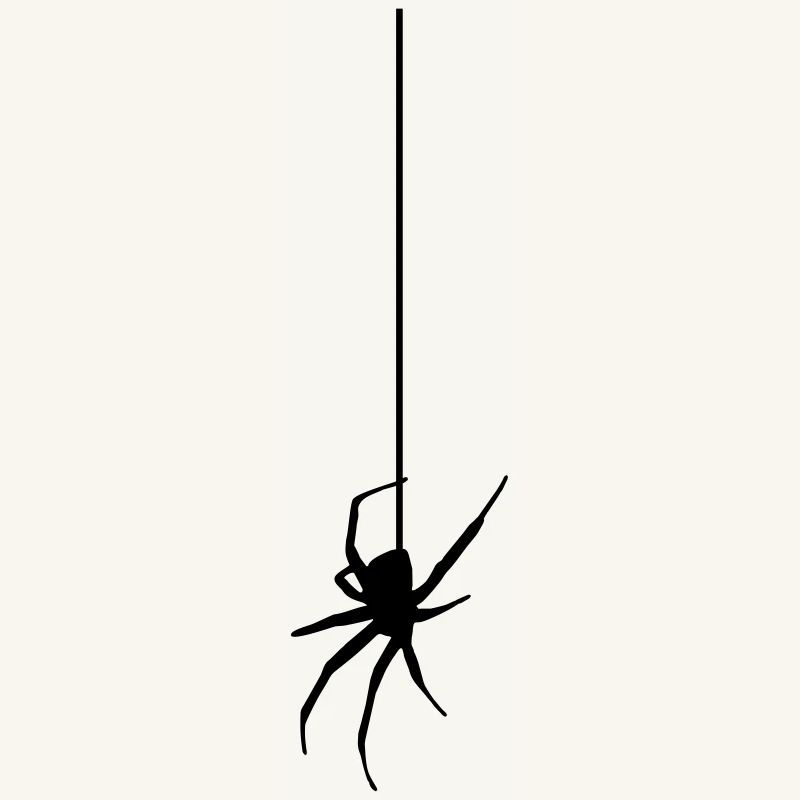 Spider on a thread - Araignée