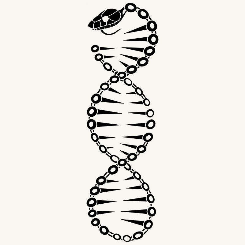Serpent ADN 2