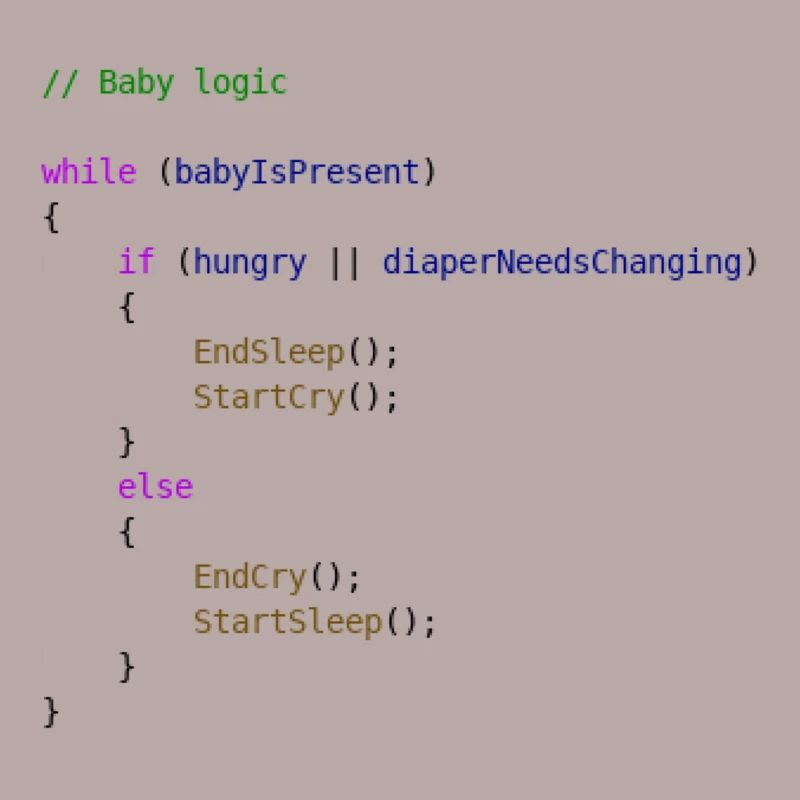 Baby logic Programmierer Geschenkidee