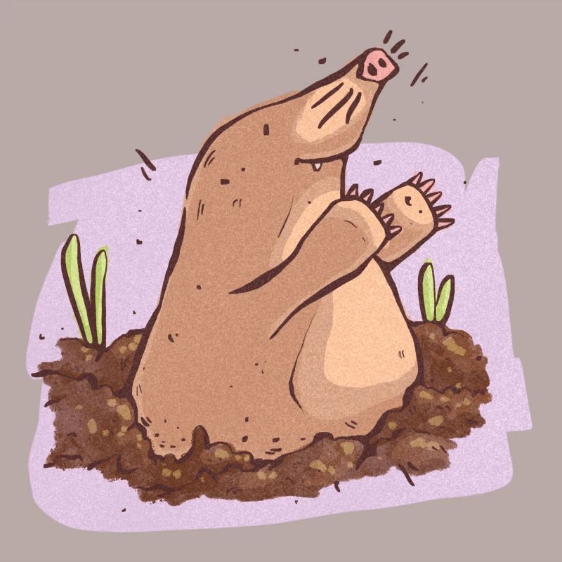 Mole in der Erde