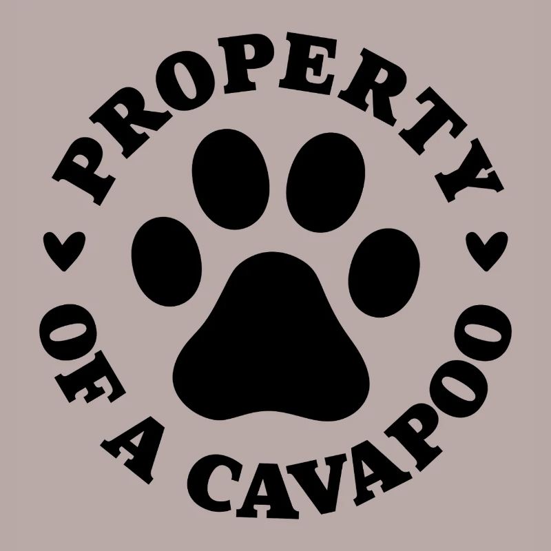 Eigentum eines Cavapoo