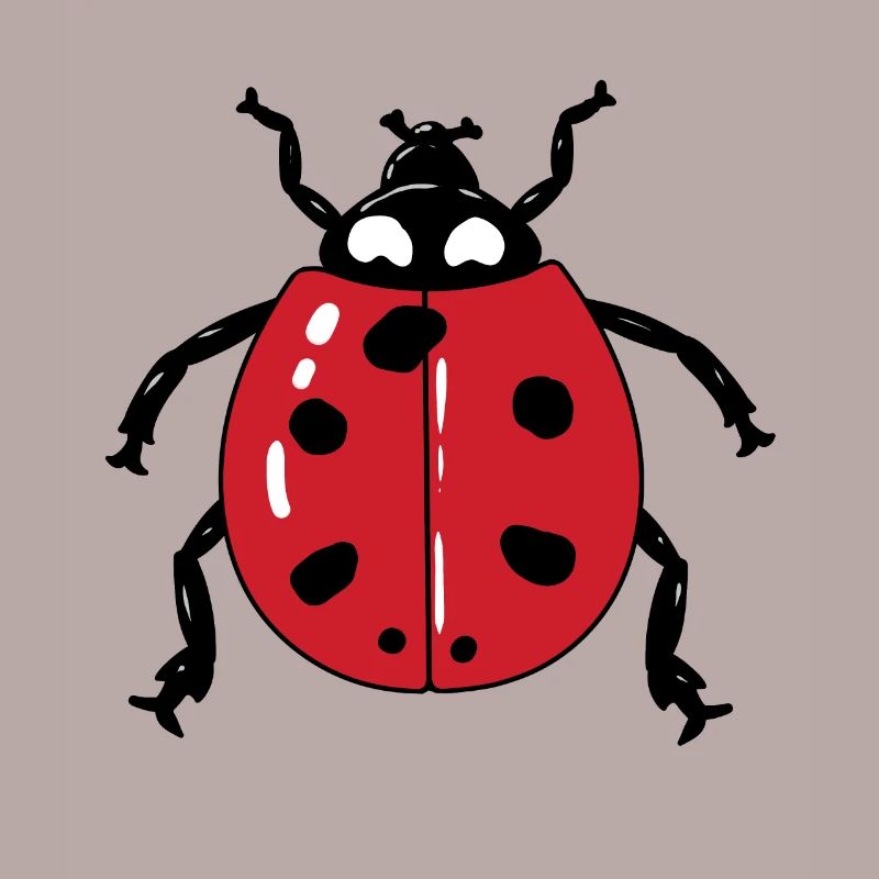 May Beetle Ladybug Lucky Charm Spring Easter