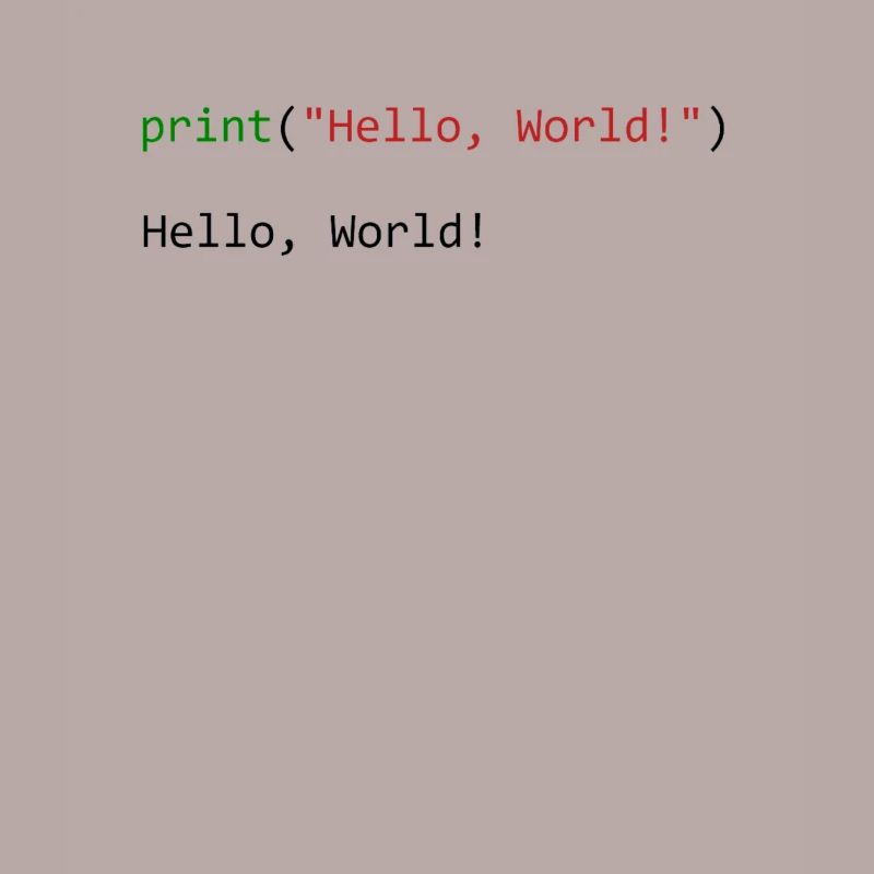 Programmeur de python cadeau Hello World