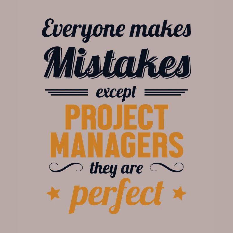 Project Manager are Perfect Project Engineer