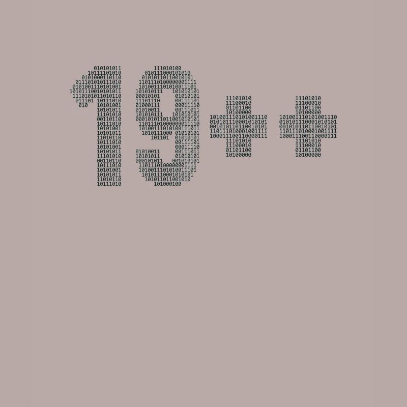 19++ Programmeur Ingénieur logiciel Codeur 20e