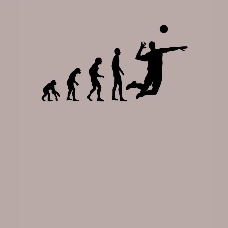 Évolution du volleyball