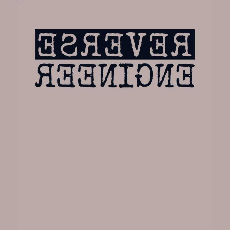 Reverse Engineer Softwareingenieur Developer