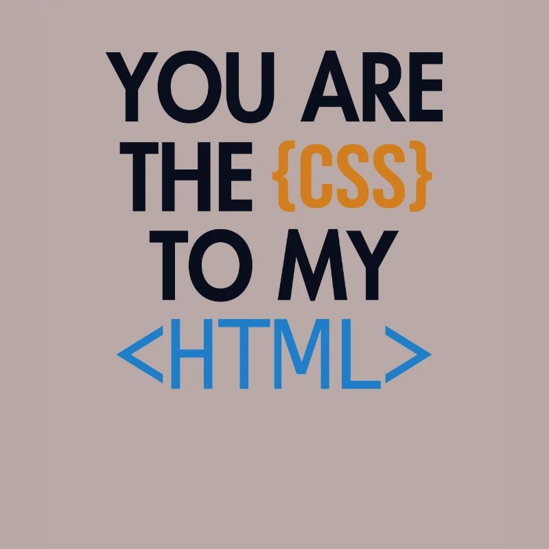 Vous êtes le CSS de mon HTML Developer Coder