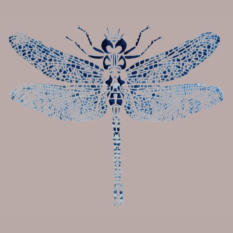 Papillon libellule