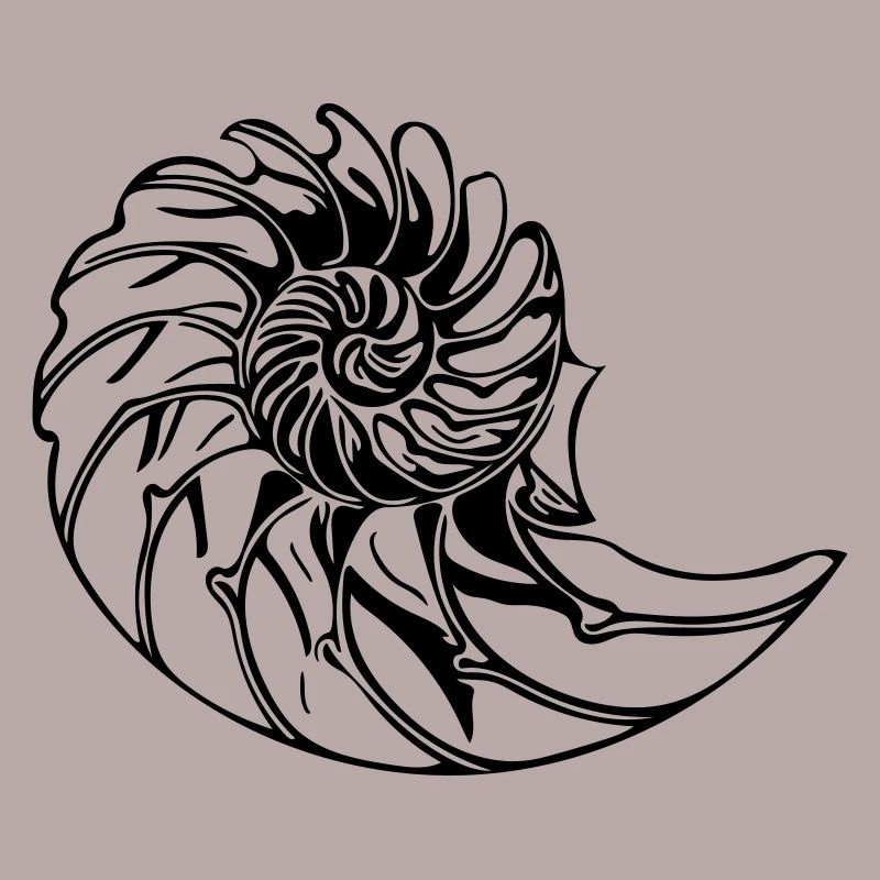 Elegant shell