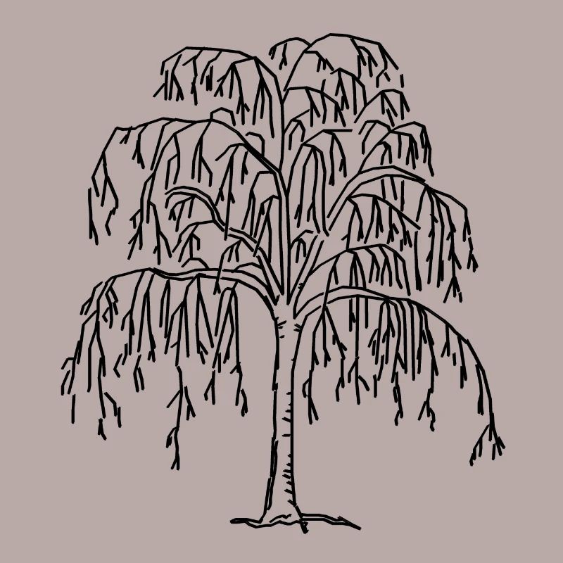 Baum