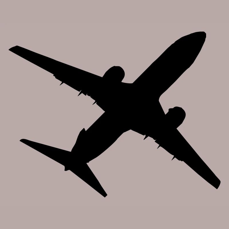 Flugzeug