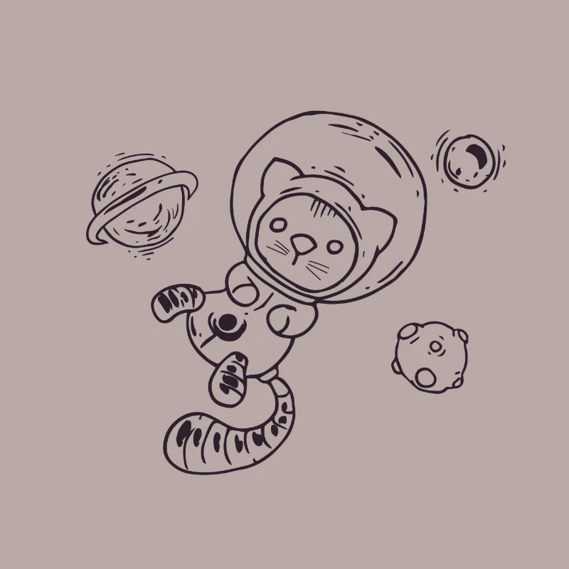 Chat dans l'espace