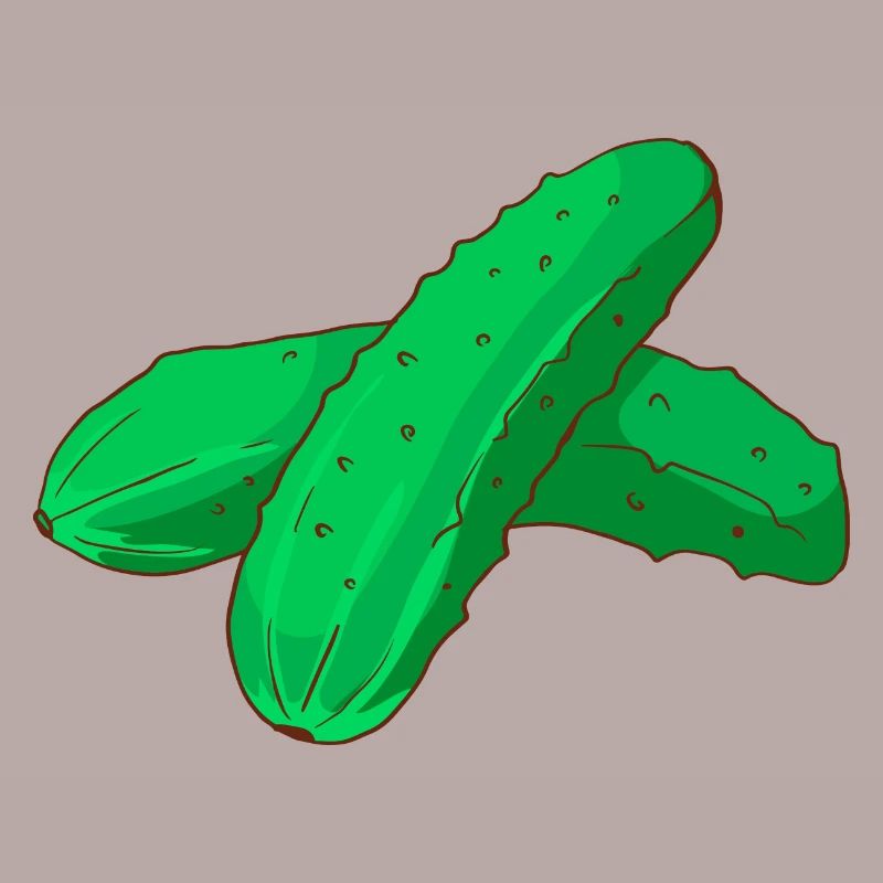 Cornichons cornichons concombres Cornichons concombres