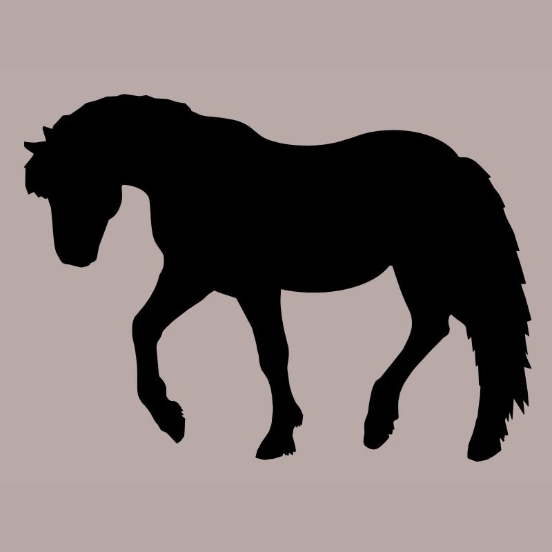 Poney