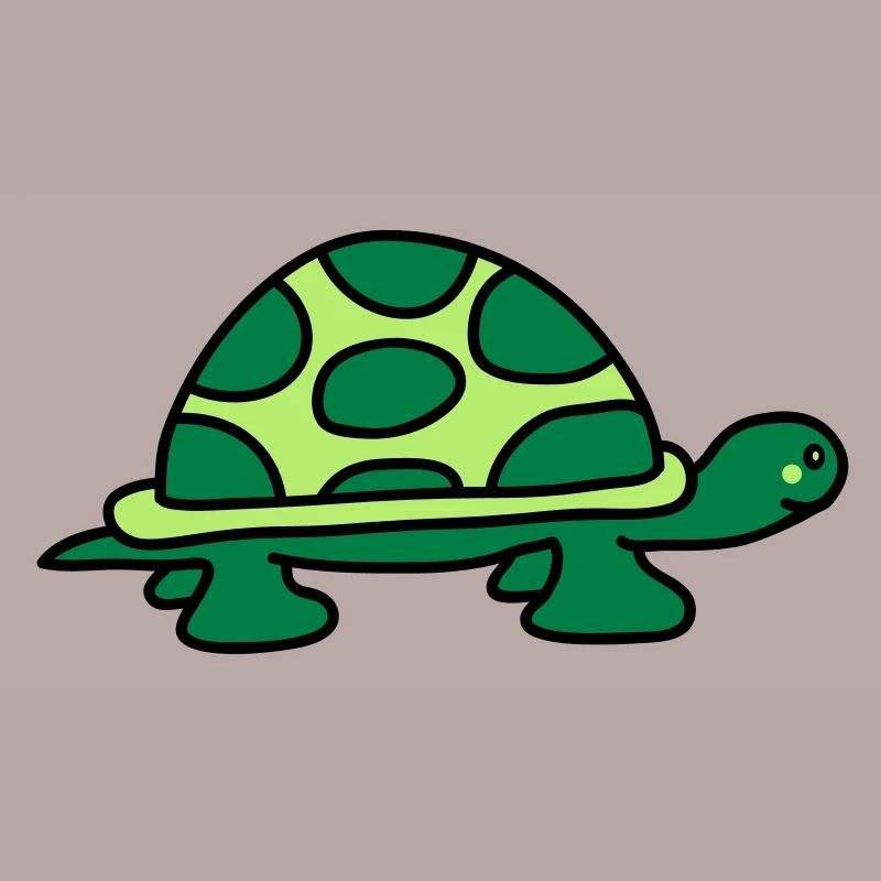 turtle
