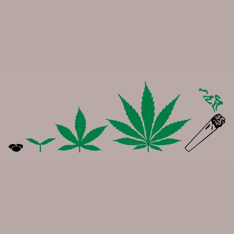 Cannabis development