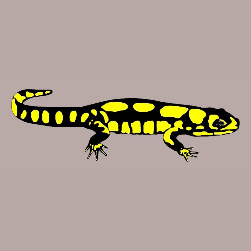 Salamander