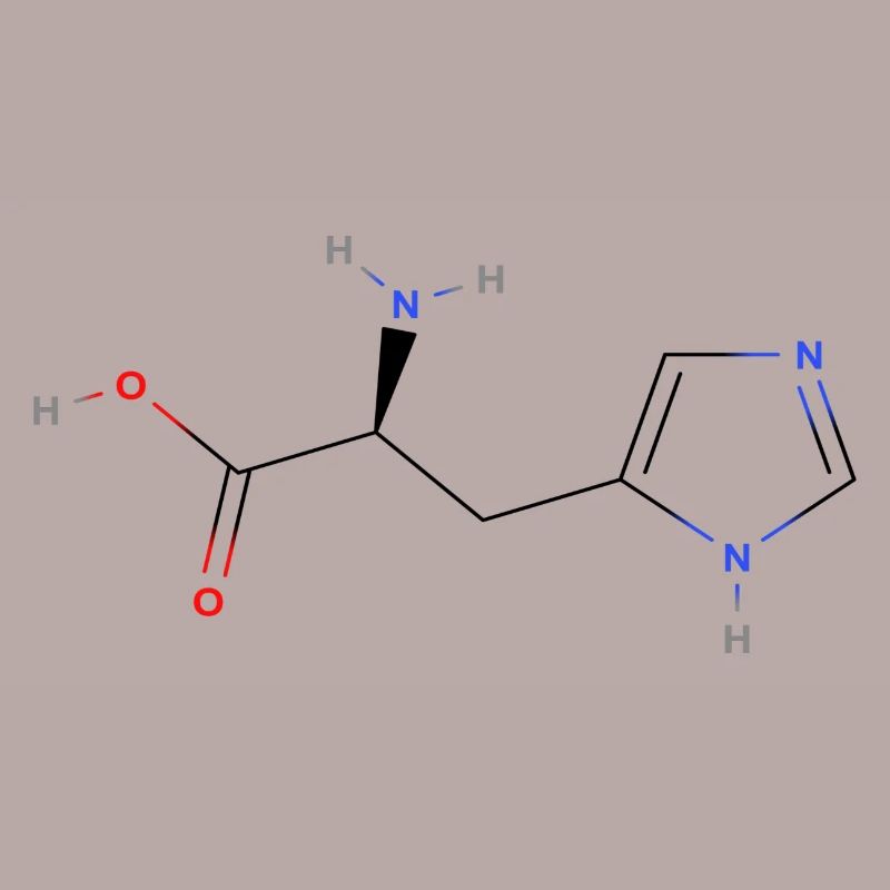 Histidine Molecule - Colored Structural Formula