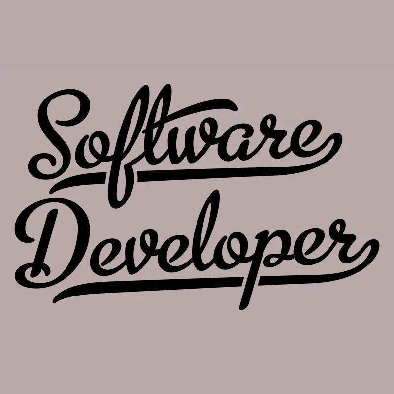 Software Developer