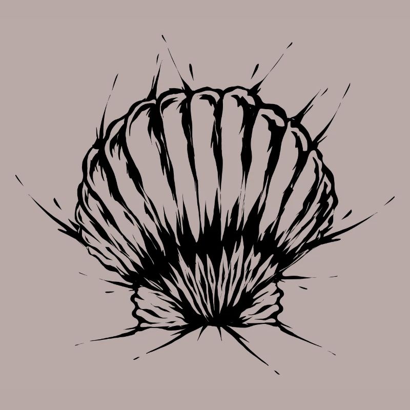 Shell Beach Vacances