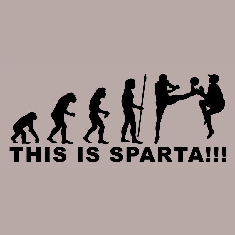 evolution_soccer2